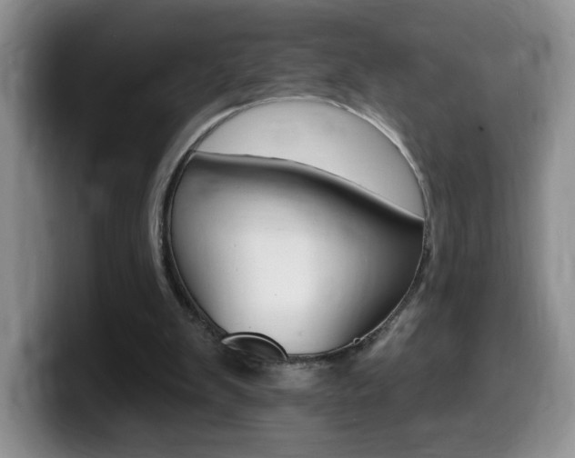 X0000099480103200805090841
