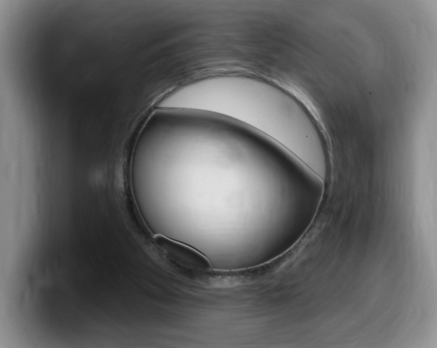 X0000099480105200805090841