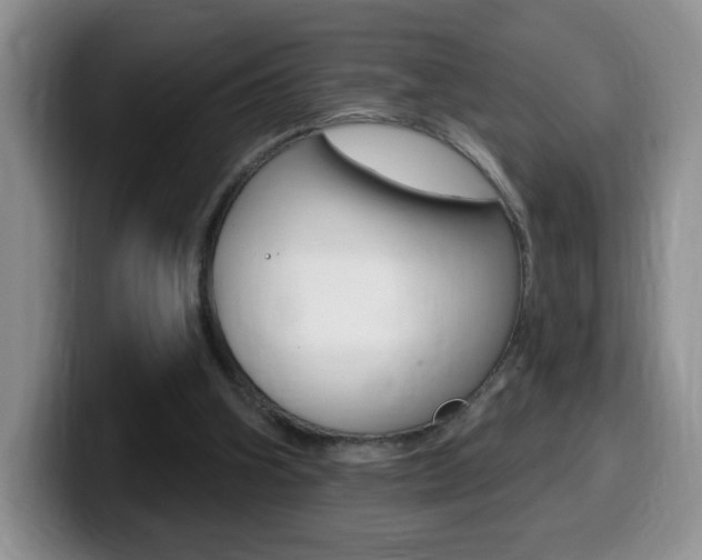 X0000099480106200805090841
