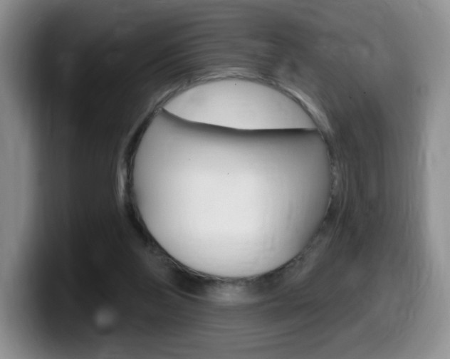 X0000099480110200805090841