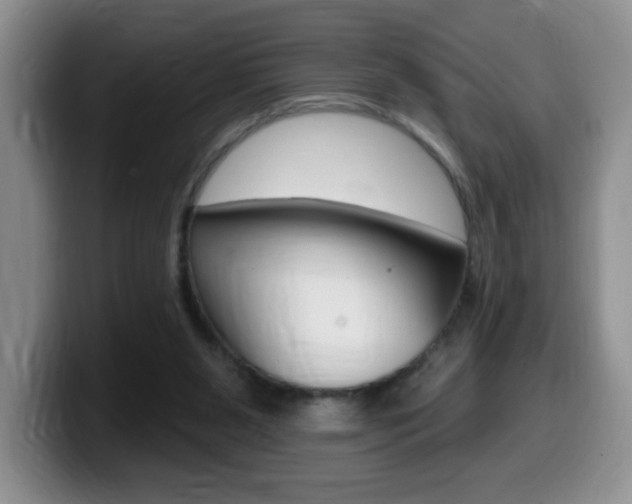 X0000099480111200805090841