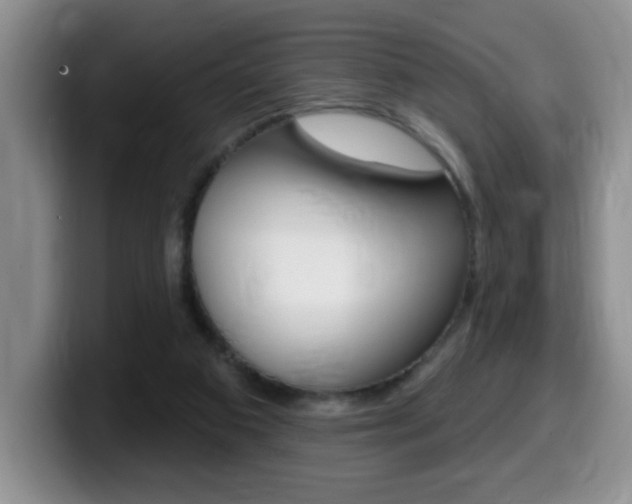 X0000099480113200805090841