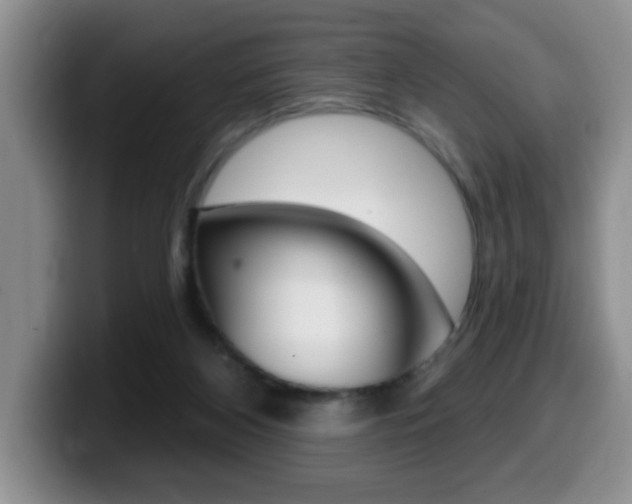 X0000099480116200805090841
