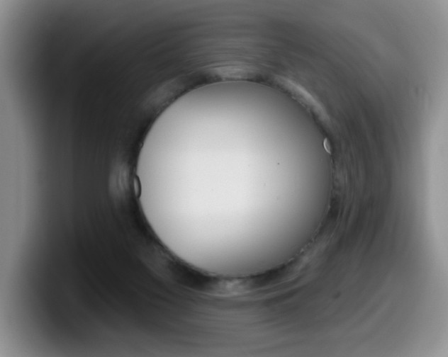 X0000099480117200805090841