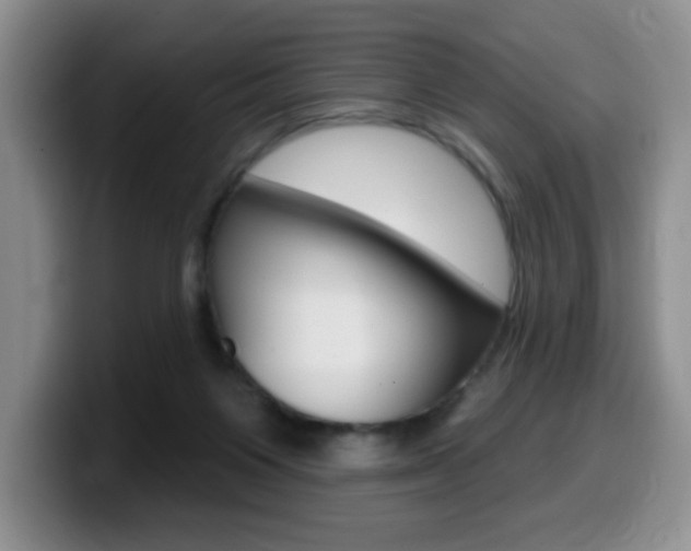 X0000099480119200805090841
