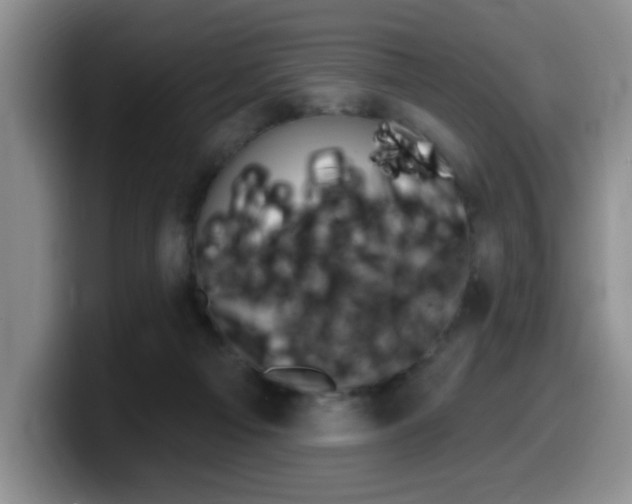 X0000099480121200805090841