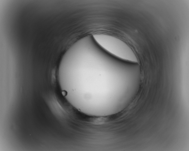 X0000099480122200805090841