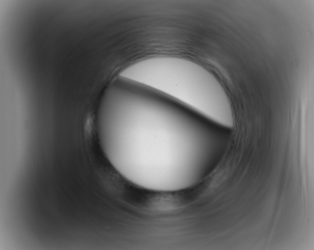 X0000099480123200805090841