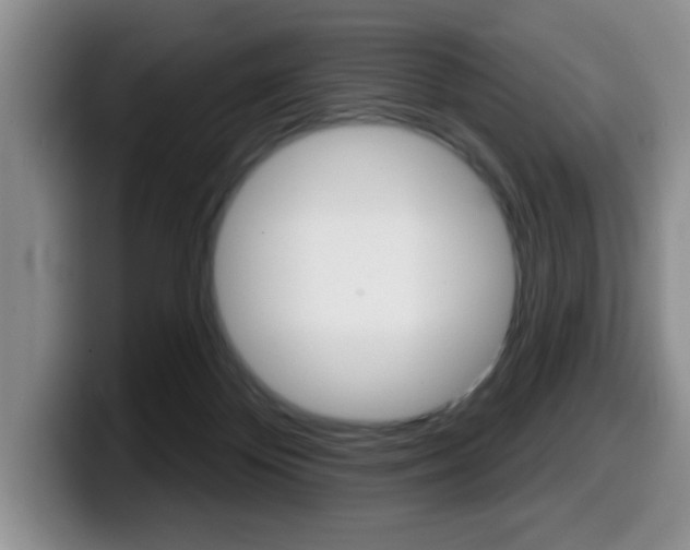 X0000099480124200805090841