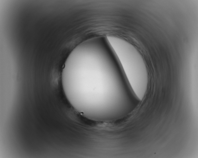 X0000099480125200805090841