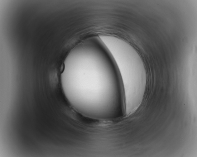 X0000099480128200805090841