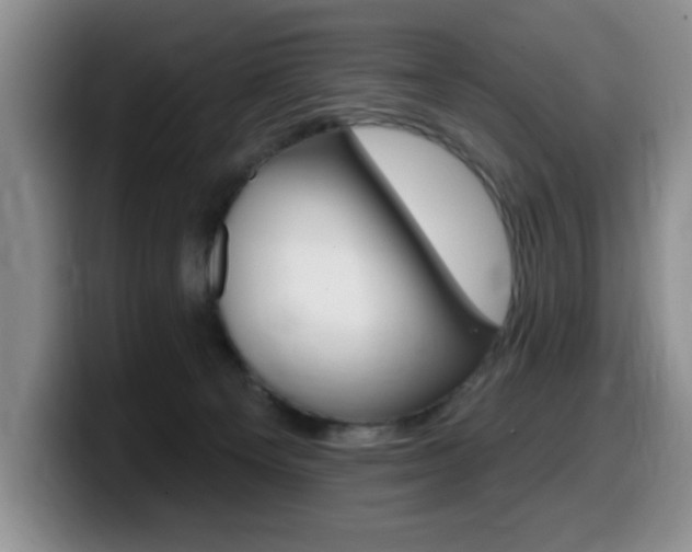 X0000099480129200805090841