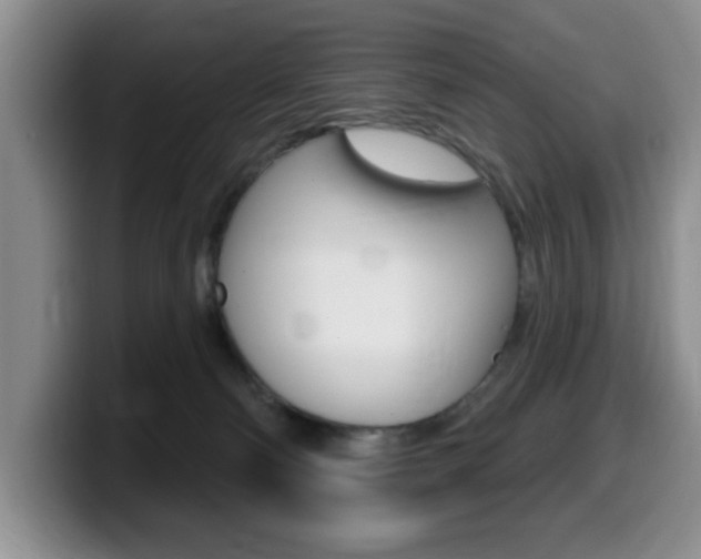 X0000099480130200805090841