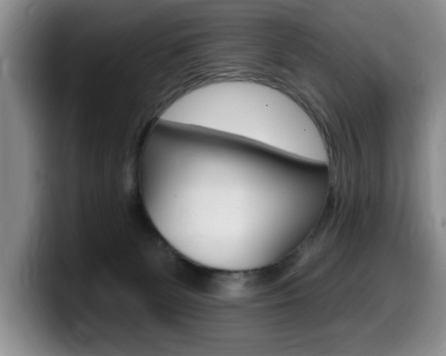 X0000099480131200805090841
