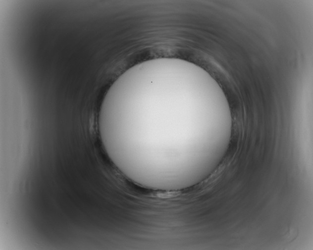 X0000099480134200805090841