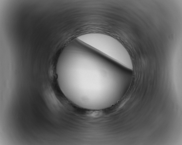 X0000099480135200805090841