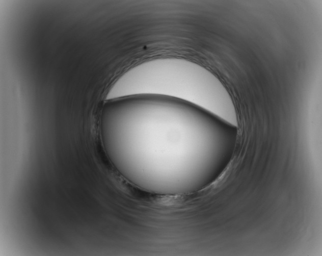 X0000099480136200805090841