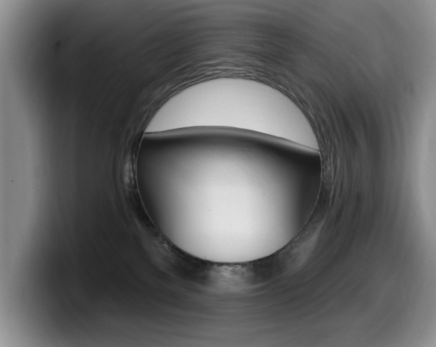 X0000099480137200805090841