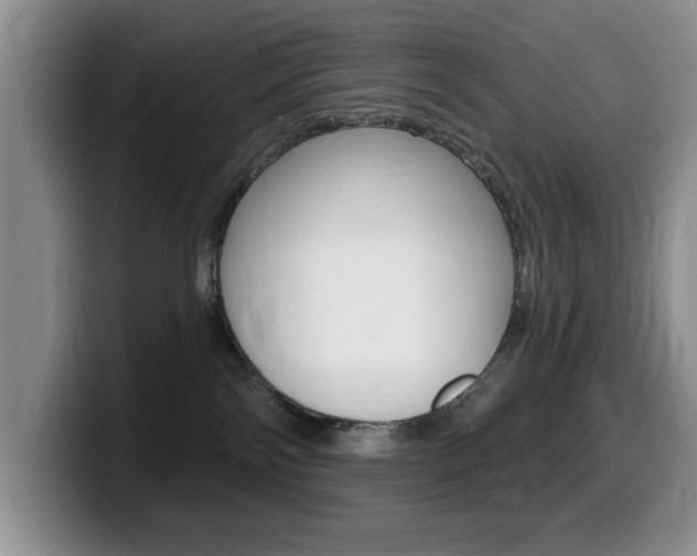 X0000099480138200805090841