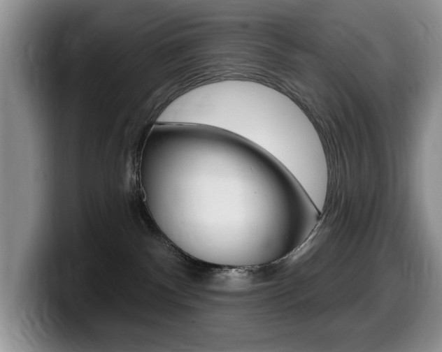 X0000099480140200805090841