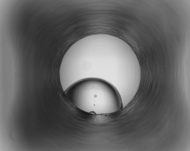 X0000099480141200805090841