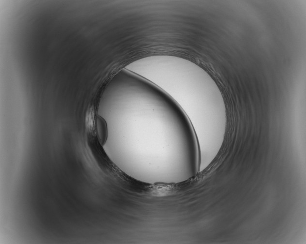 X0000099480143200805090841