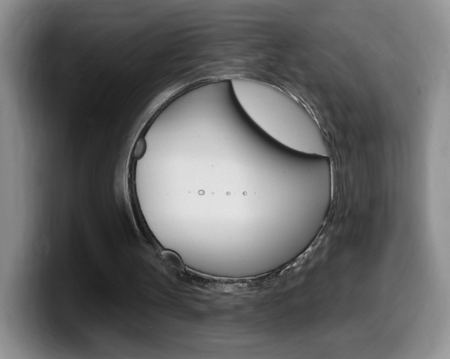 X0000099480147200805090840