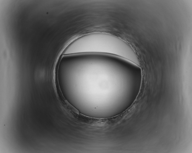 X0000099480148200805090840