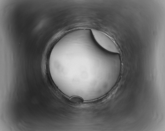 X0000099480149200805090840