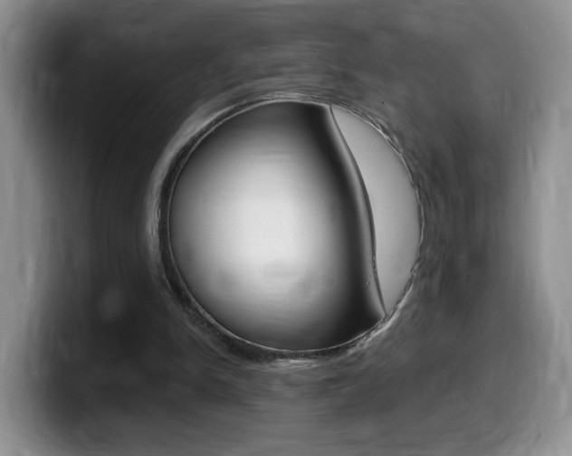 X0000099480150200805090840