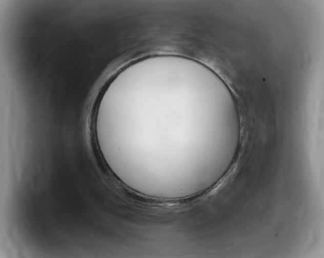 X0000099480151200805090840