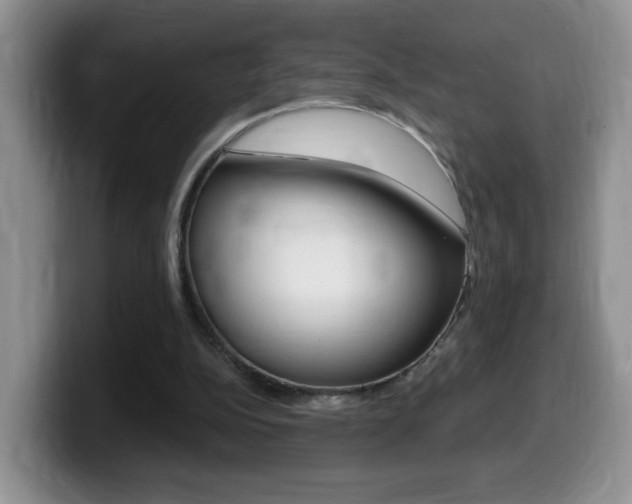 X0000099480152200805090840