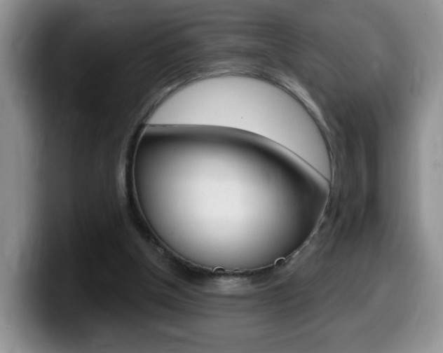 X0000099480154200805090840