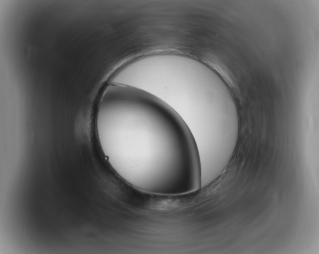 X0000099480156200805090840