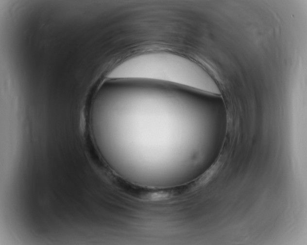 X0000099480158200805090840