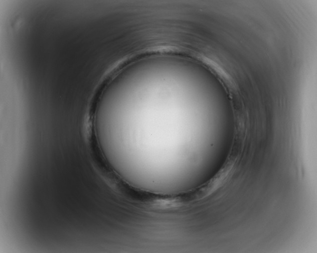 X0000099480160200805090840