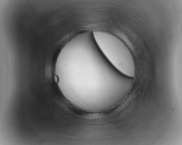 X0000099480161200805090840
