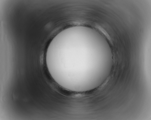 X0000099480163200805090840