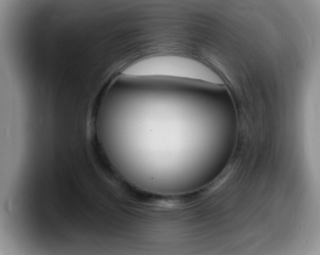 X0000099480164200805090840