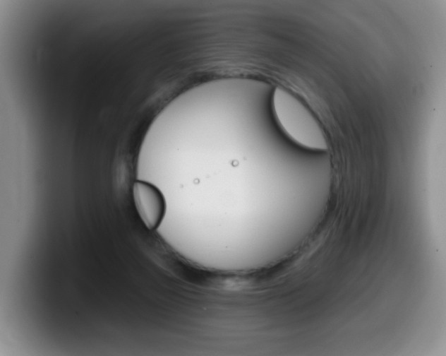 X0000099480165200805090840