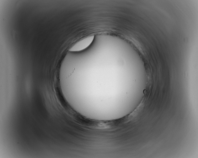 X0000099480166200805090840