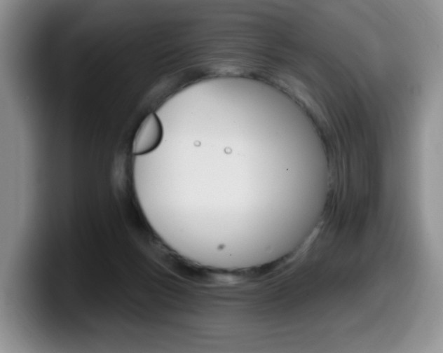 X0000099480167200805090840