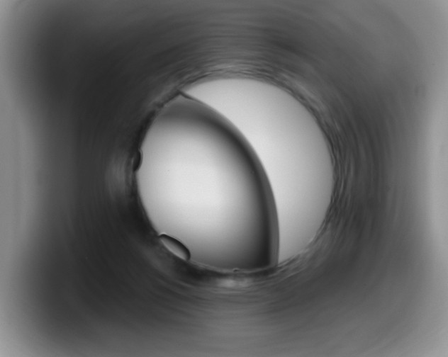 X0000099480168200805090840