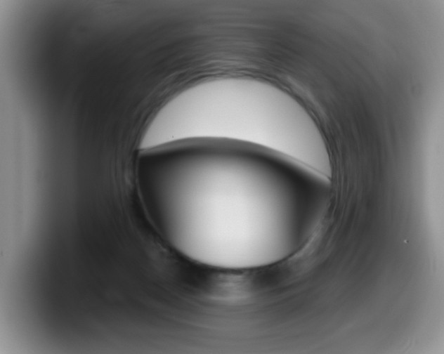 X0000099480170200805090840