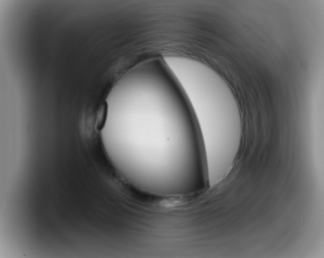 X0000099480172200805090840