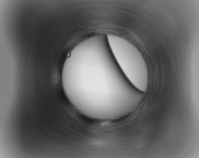 X0000099480173200805090840