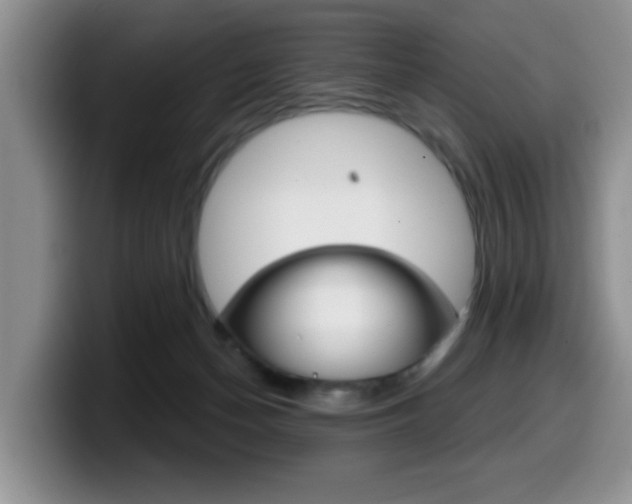 X0000099480174200805090840