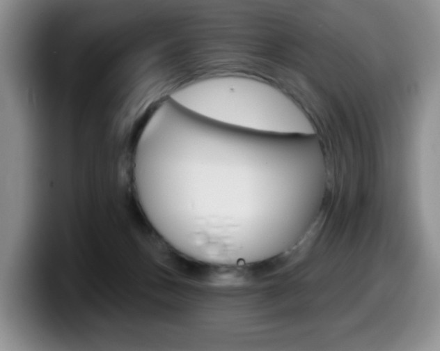 X0000099480175200805090840