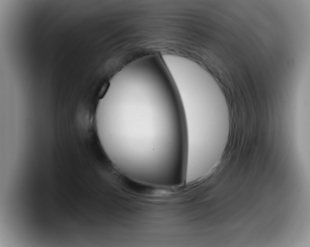 X0000099480176200805090840