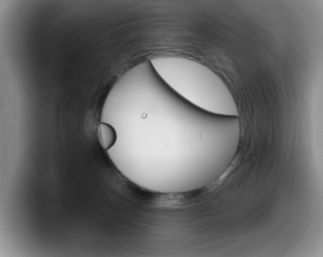 X0000099480179200805090840